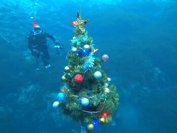 В Казани установили новогоднюю ёлку на дне Голубого озера (ВИДЕО)