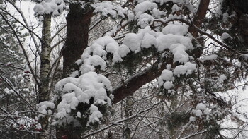 В Москве ожидается сильнейший за 70 лет снегопад