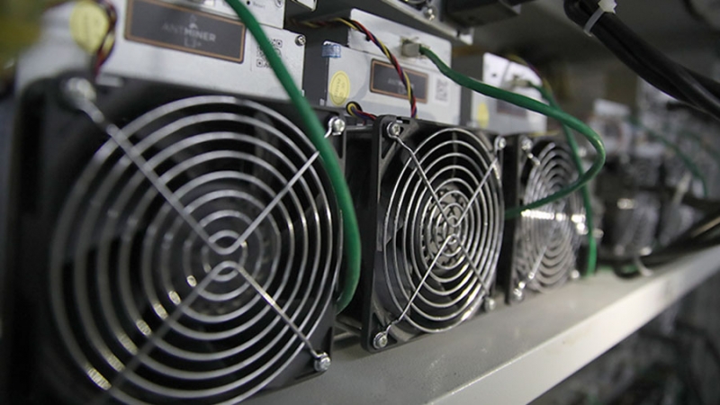 В Подмосковье выявили подпольную майнинговую ферму