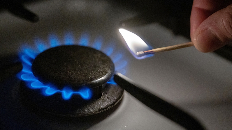 Австрийский политолог прокомментировал газовый кризис в Европе