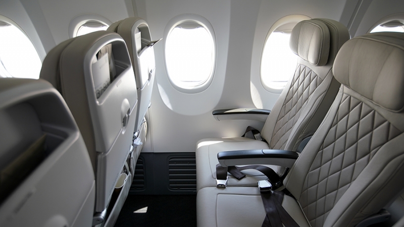 Минтранс предложил сдерживать авиадебоширов ремнями и пластиковыми наручниками