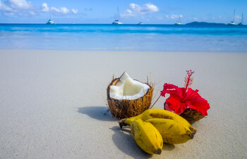 Названы самые популярные направления для празднования Нового года у россиян