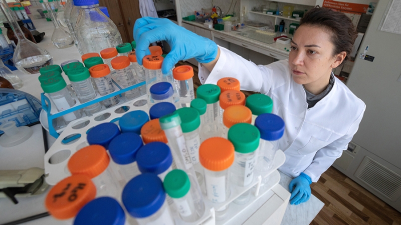 Путин поручил снизить налог на прибыль компаниям в сфере развития генетики