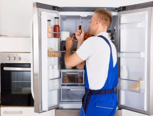 Поломки холодильников: какие запчасти могут понадобиться?