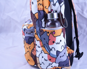 Рюкзаки для девочек: их преимущества и виды