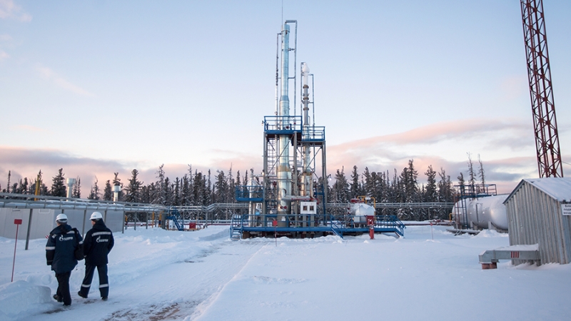 В Госдуме отреагировали на данные о подготовке в Европе удара по «Газпрому»