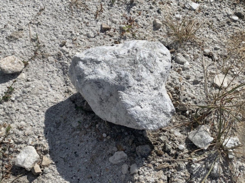 В районе Царицыно снесена незаконная постройка во дворе жилого дома