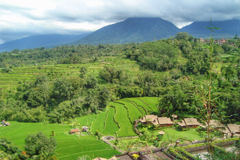Индонезия вновь ужесточает ограничения 
