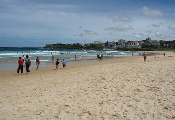 В Австралии впервые с 1963 года акула съела человека 