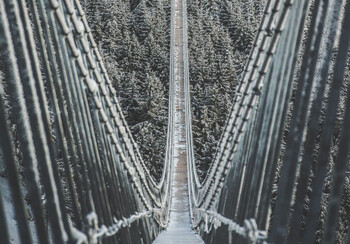 В Чехии строят самый длинный в мире подвесной пешеходный мост 