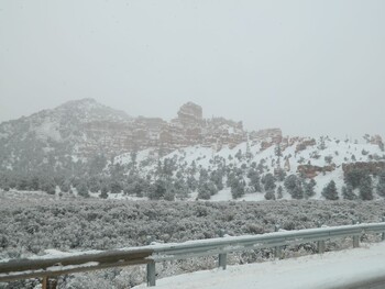 В США из-за снежного шторма отменены тысячи авиарейсов 