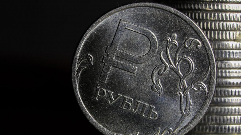 В Госдуме оценили предложение расширить список экспортируемых за рубли товаров