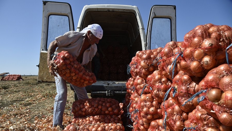 В Совбезе предложили расширить список запрещенных к ввозу продуктов
