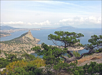 В Крыму передумали отменять ПЦР-тесты для детских лагерей