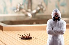 Городская станция дезинфекции: обзор услуг