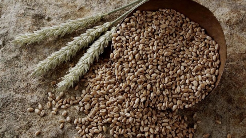 Клишас высказался за оплату поставок зерна и удобрений в рублях