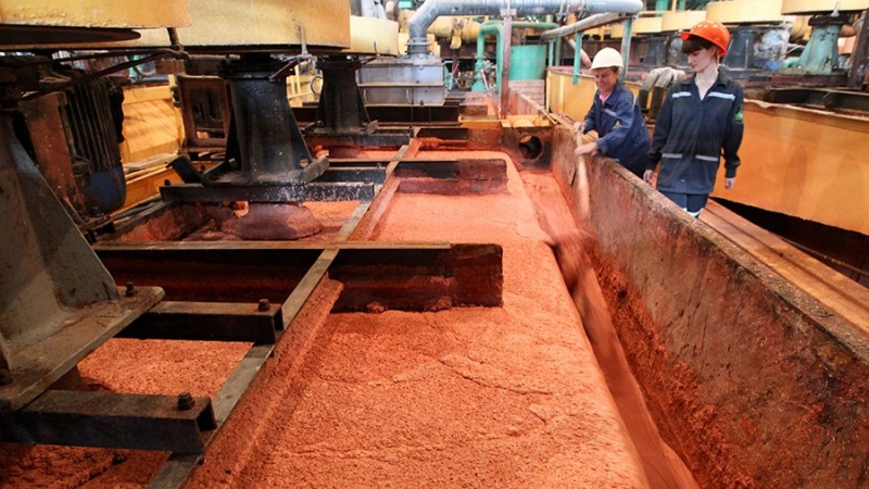 МИД РФ назвал сложным вопрос поставок калийных удобрений и вывоза украинского зерна