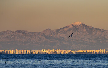 В аэропорту Анталии турист из РФ пытался покончить с собой 
