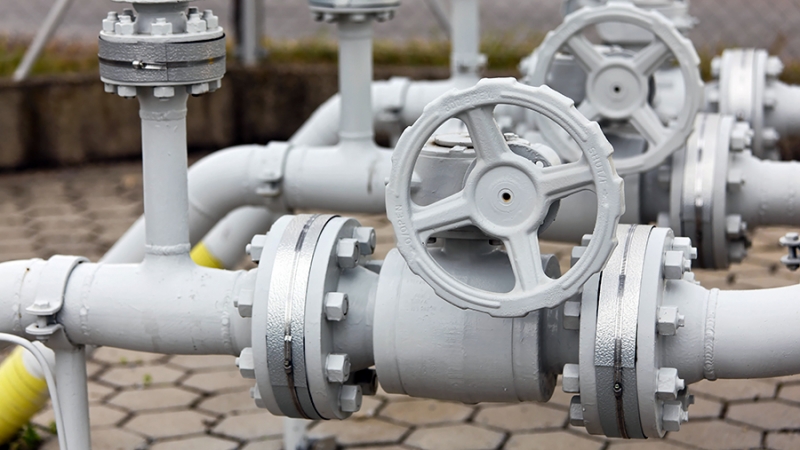 В Австрии признали «горькую правду» о зависимости от российского газа