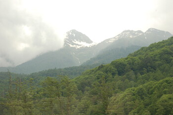 В горах Сочи погиб турист 