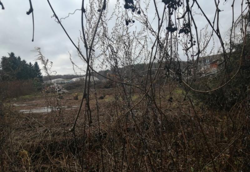 В районе Чертаново Центральное демонтировали опасный долгострой