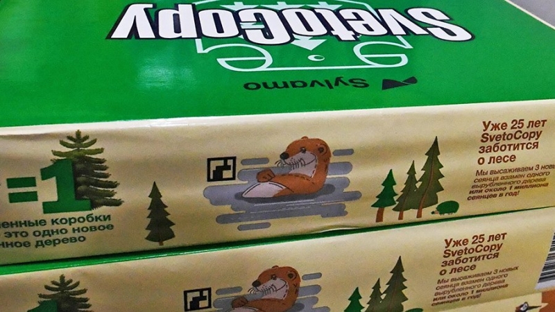 В «Рослесинфорге» заявили о новых возможностях для бизнеса после ухода SvetoCopy