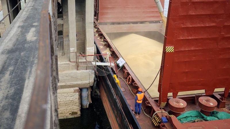 Берлин заявил о работе с компаниями по вопросу о возможном вывозе зерна из РФ