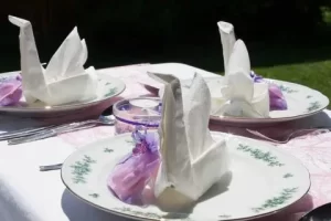 Правила сервировки: выбираем салфетницу