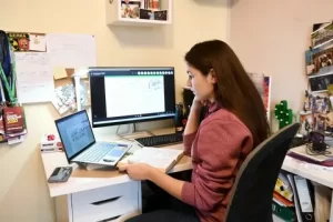 Обучение в дистанционном режиме: достоинства. Условия обучения