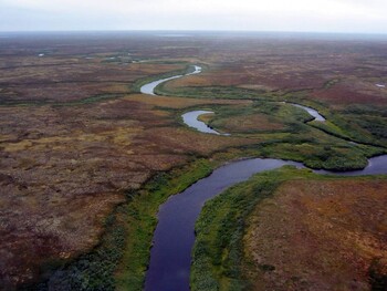Топ-менеджер VK погиб в НАО при переправе через реку на вездеходах 