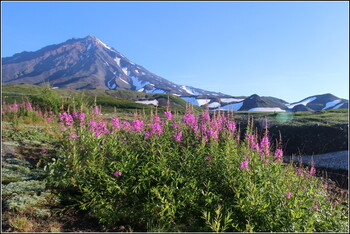 Туристов повезут на Камчатку регулярными рейсами «Аэрофлота»