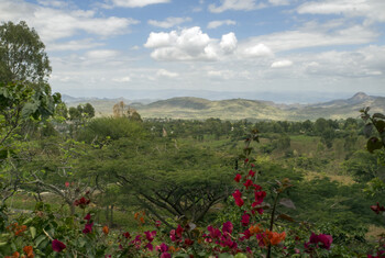 Ethiopian Airlines планирует запустить рейс Аддис-Абеба — Москва в августе