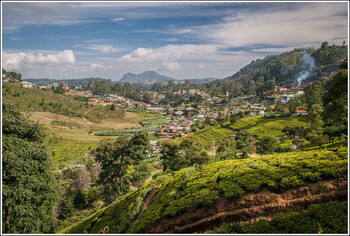На Шри-Ланке введён режим ЧП