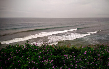 Пляжи Анапы закрылись для купания 