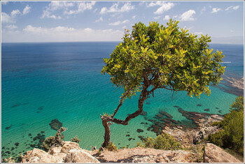 Россиянам предложили туры на Кипр с перелётом через Армению