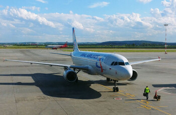 Самолёт «Уральских авиалиний» столкнулся с птицей в Жуковском