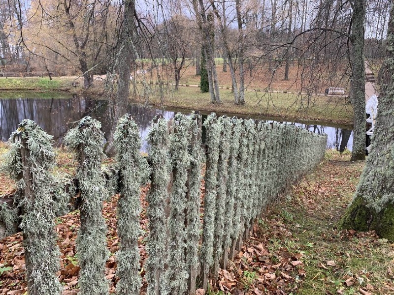 Спрос и цены на земельные участки в Ленобласти выросли на 18%