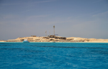 В Хургаде туристка погибла из-за нападения акулы