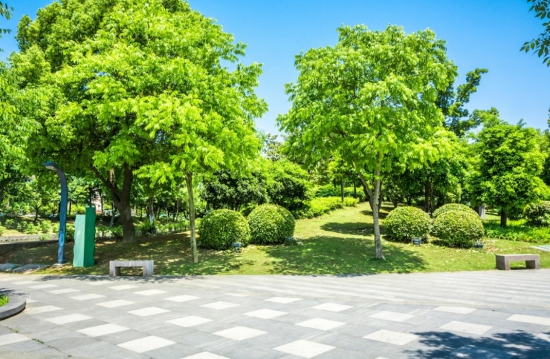 В Ленобласти досрочно завершено благоустройство 4 общественных пространств