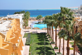 В отелях Египта изменят правила после атаки акул на туристов