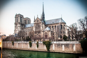 В Париже рассказали, когда откроют Нотр-Дам для посетителей