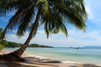 В Таиланде создали сервис для связи туристов с полицией 