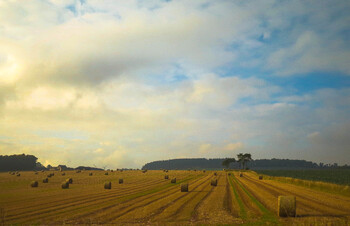 В Великобритании зафиксирован температурный рекорд