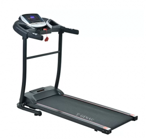 Занятия на беговой дорожке: в чем польза для здоровья?