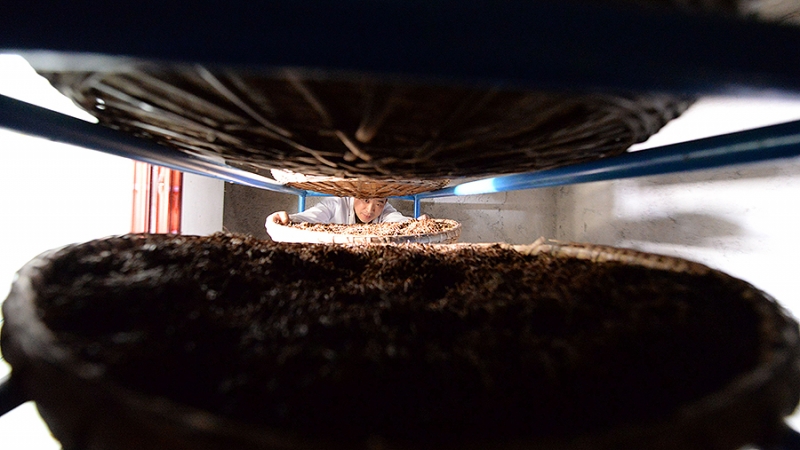 Из Уханя в Москву отправили первый поезд со специальными сортами чая