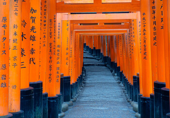 Япония увеличит лимит прибывающих в страну до 50 000 человек в день