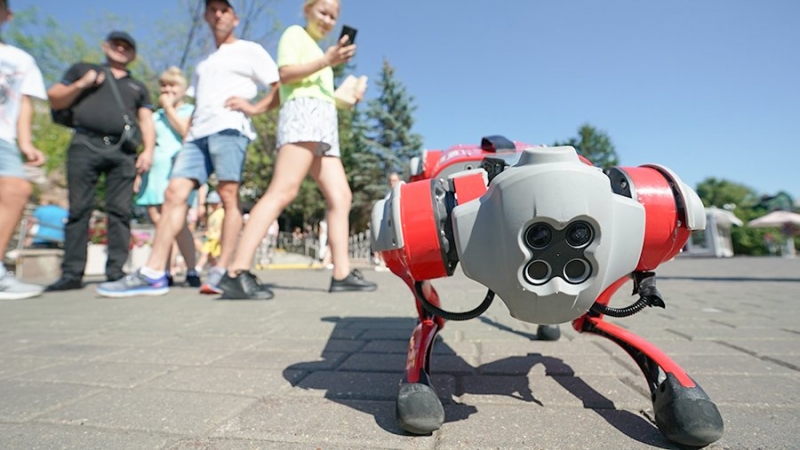 Производитель роботов Unitree планирует открыть представительство в России