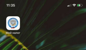 Оформление самозанятости: преимущества приложения «мой налог»