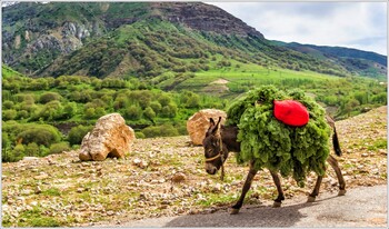 Авиакомпания «Ямал» начала летать из Москвы в Наманган