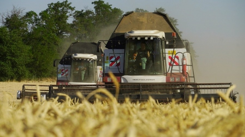 Эрдоган и генсек ООН обсудили экспорт российского зерна на международные рынки